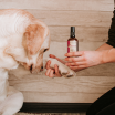 „Apsauginis“ aromaterapinis purškalas šunimas